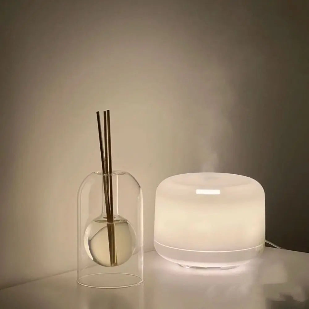 Minimalist Glass Aromatherapy Vase – Transparent Diffuser Bottle with Sticks