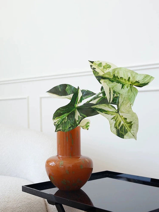 Artificial Green Branch – 68cm Decorative Faux Plant for Indoor Styling