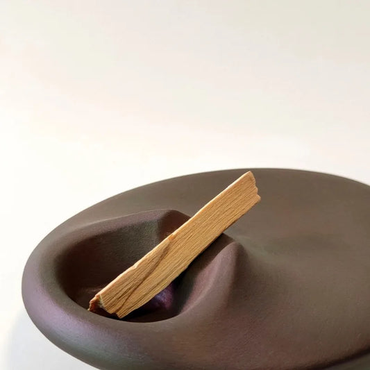 Cement Palo Santo Holder – Minimalist Aromatherapy Tray for Holy Wood, Sage & Rituals